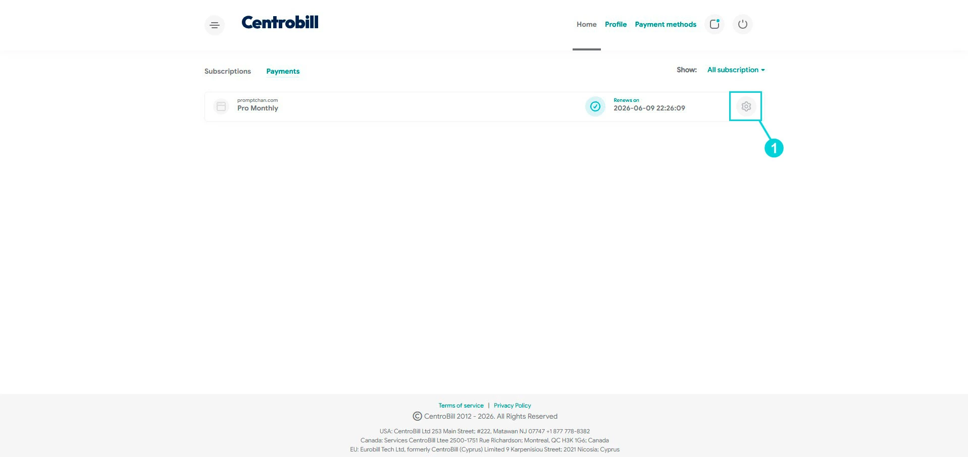 Centrobill: assinatura promptchan.com Pro Monthly, ícone de configurações